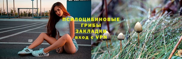 крисы Семилуки