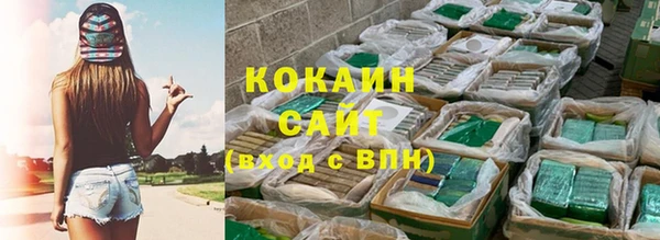 дживик Абаза