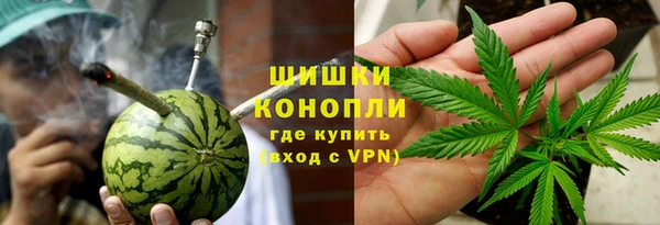 дживик Абаза